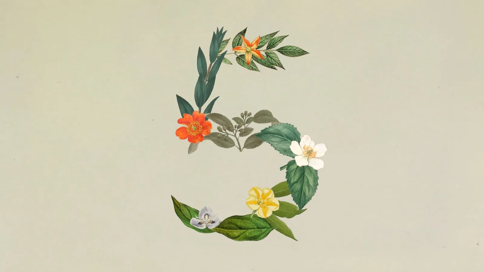 رسانه رسمی شرکت برای Claude Sonnet 5 از مطالب دستاول انتشار ۳۰ ژوئن.